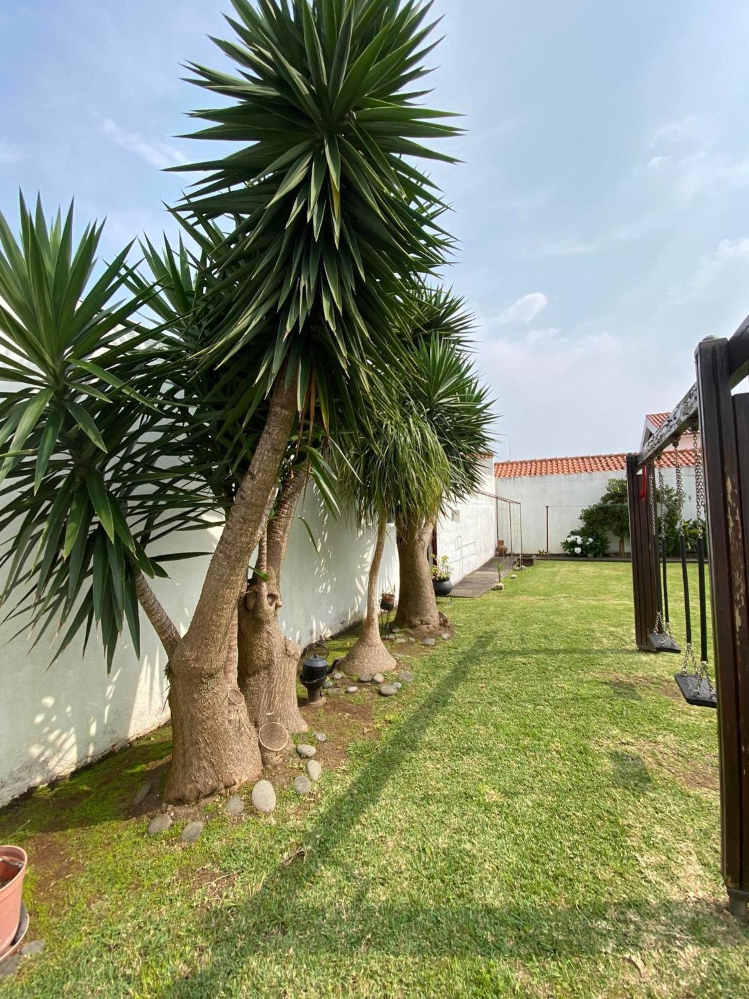 Apartamentos Sao Joao ออร์ตา ภายนอก รูปภาพ